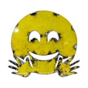 Emoji (30) - 🤗 - Visage qui fait un câlin
