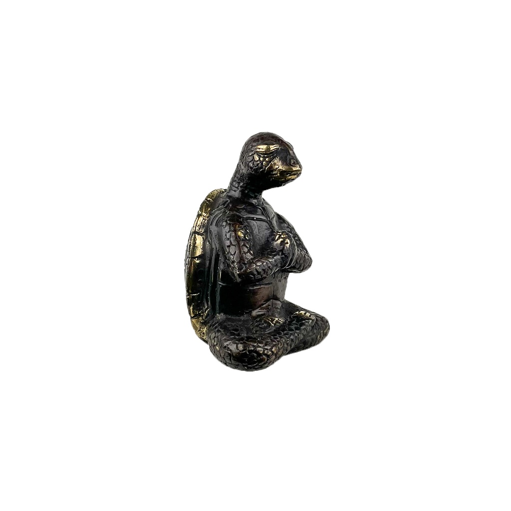 Tortue Yoga Bronze (10) - Noir + Or