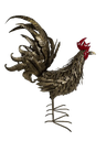 Cock (100)