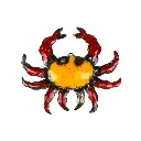 Crab Hanging Up (25) - Mix Colour