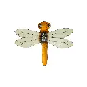 Dragonfly Hanging Up (18) - Mix Colour