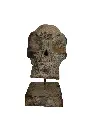 Crâne Sculpté (31)