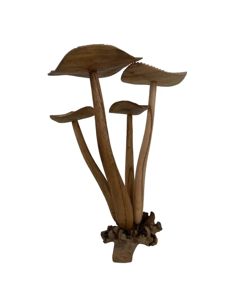 Champignons Sculptés (34)