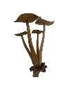 Champignons Sculptés (34)