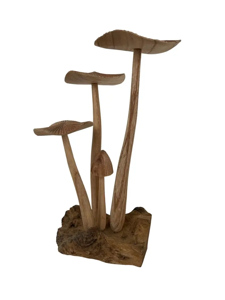 Champignons Sculptés (34)