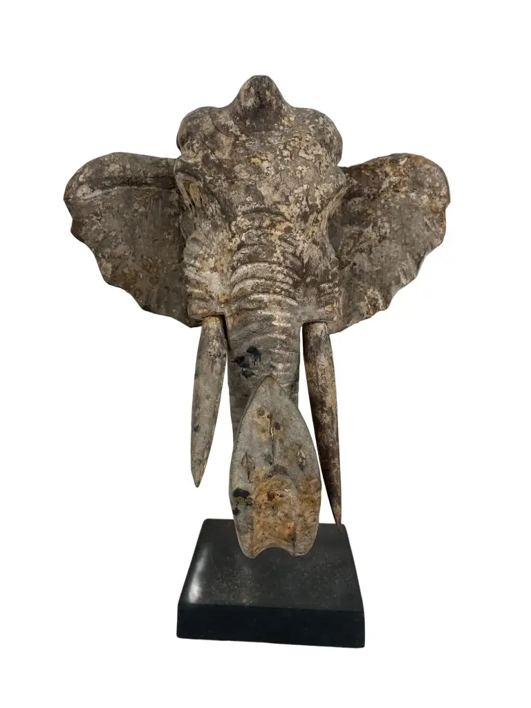 Tête d'Éléphant sur Socle (32)