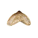 Abat-Jour "Nuage" - S (40)