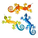 Pimp Gecko (110) - Mix Couleur