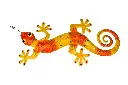 Pimp Gecko (110) - Orange + Yellow