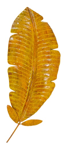 [PBL55-02] Pimp Banana Leaf (55) - Yellow/Orange