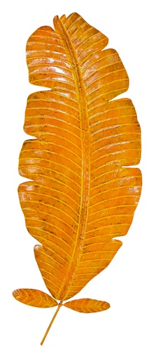 [PBL70-02] Pimp Banana Leaf (70) - Yellow/Orange