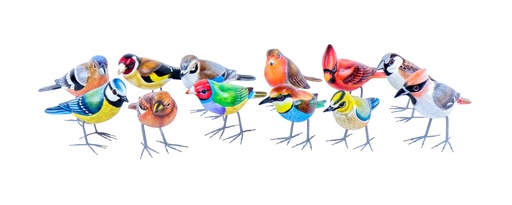 [BIRDW10] Bird Wood (10) - Mix Couleur & Modèle (Minimum 12 pcs)