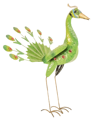 [PEACTAIL60] Paon Roue (60) - Vert