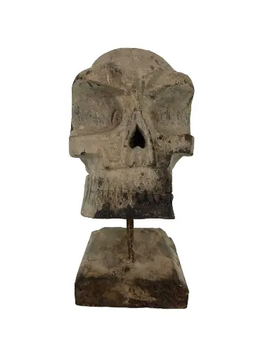 [PU147-SKULLW31] Crâne Sculpté (31)